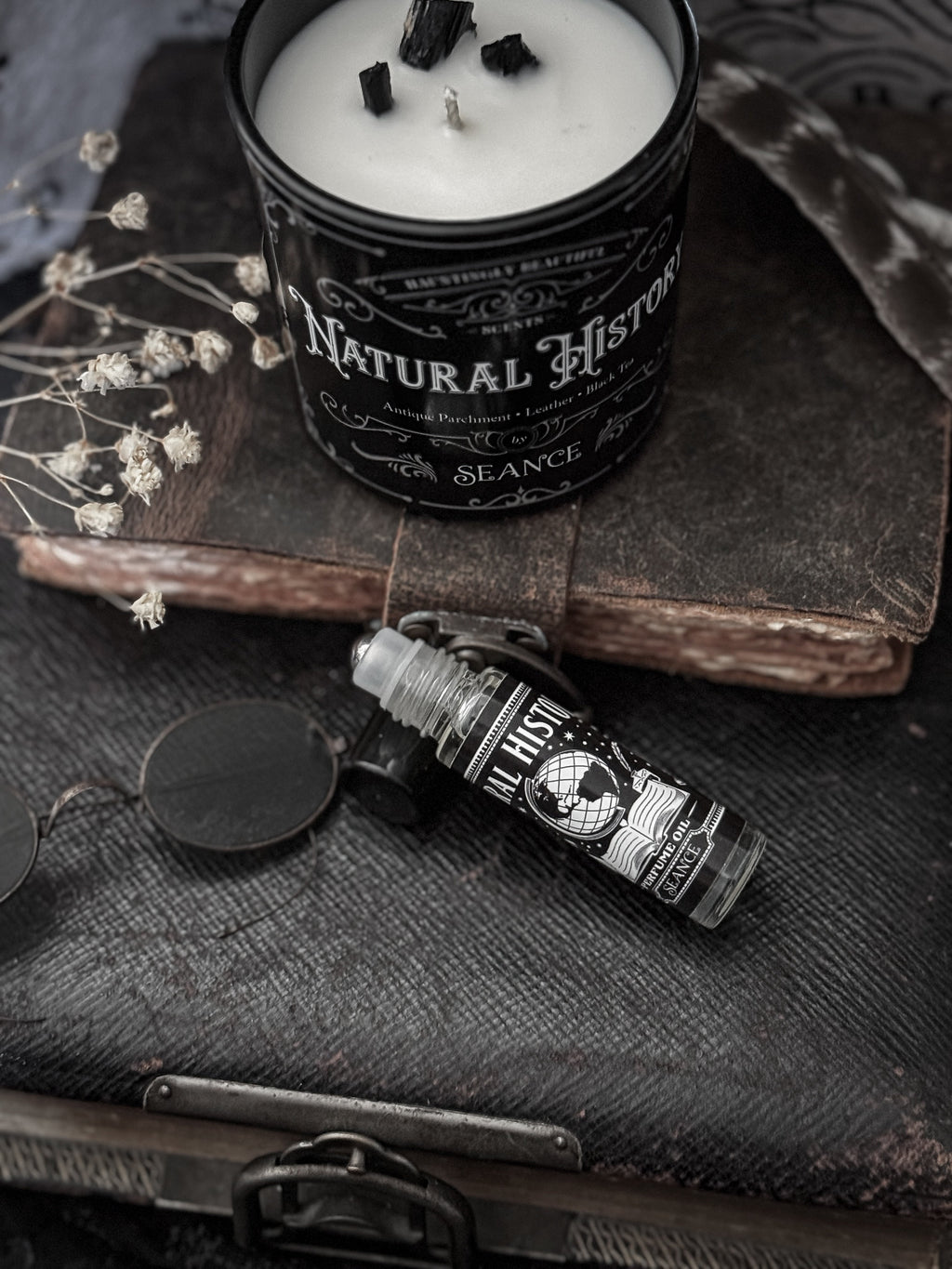 Natural History (old books &  black tea)