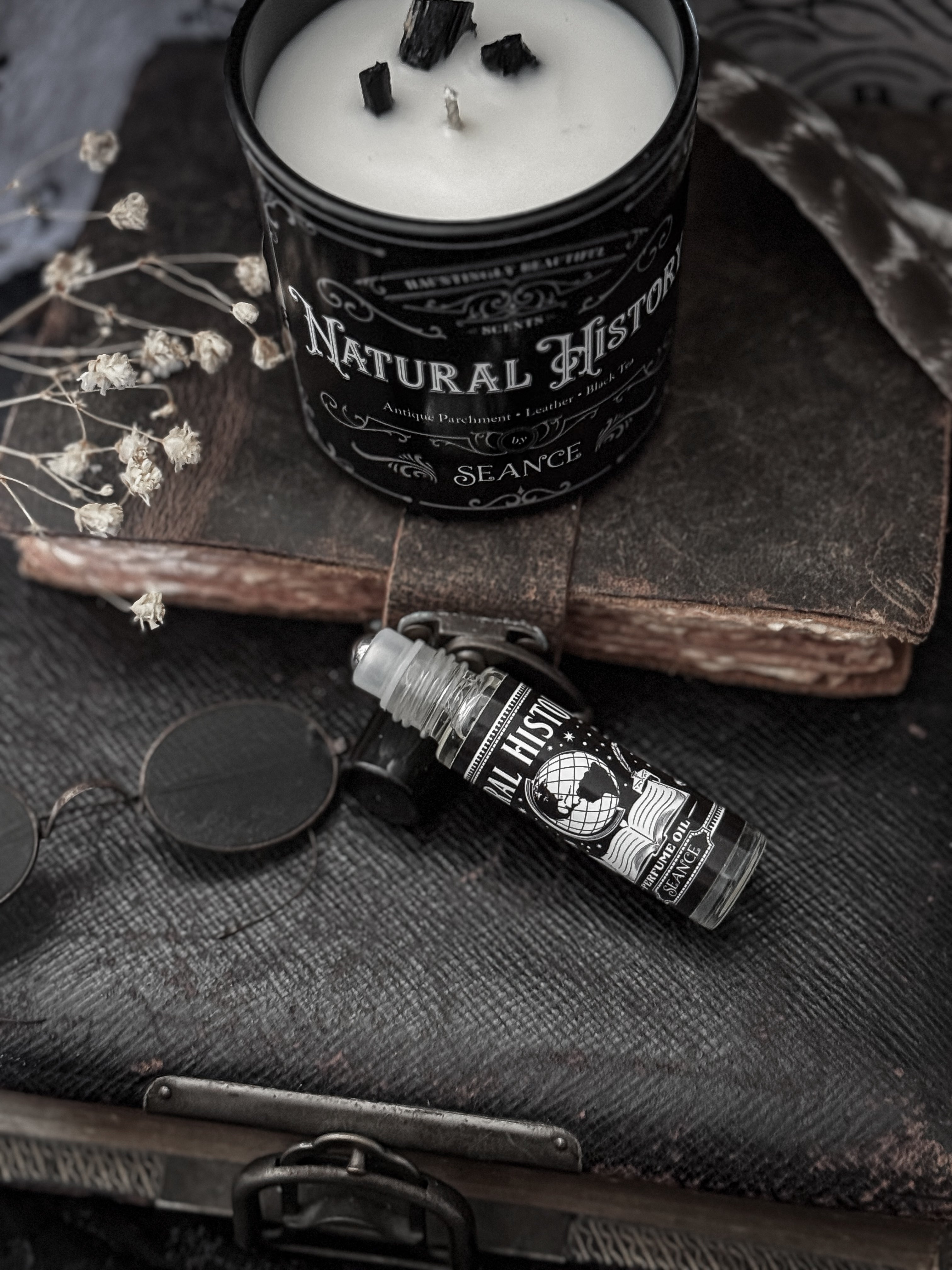 Natural History (old books &  black tea)