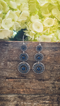 Beautiful Blue Drop Earrings