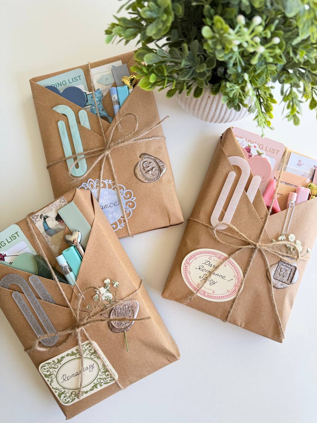Blind Date with a Book | A Cozy Book Lover’s Surprise