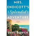 Mrs. Endicott's Splendid Adventure: A Novel